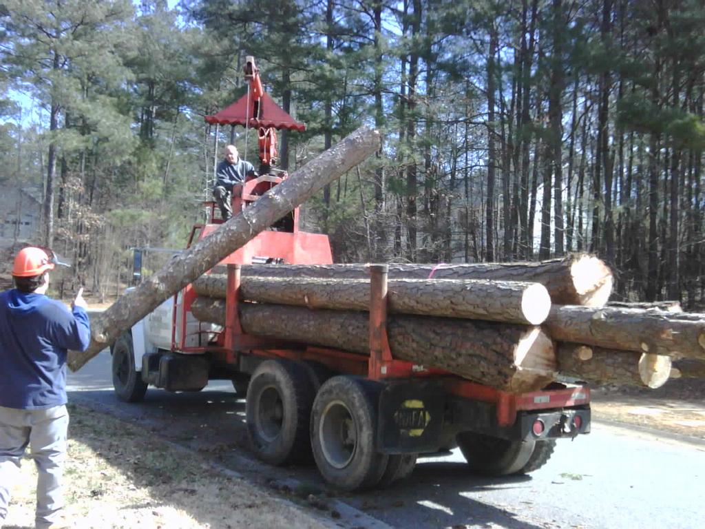 Tucker Tree Service Canton GA 30114 7703347161 Tree Service